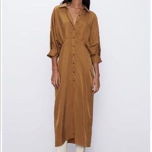Zara Pleated Shirt Dress